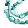 Natural White Shell Beads Strands SHEL-N036-21C-3