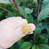 Ethnic Retro Style Flower Alloy Cuff Rings FS-WG9B7B1-04-1