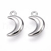 304 Stainless Steel Charms STAS-N109-138P-1