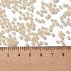 TOHO Round Seed Beads X-SEED-TR08-0901-4
