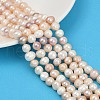 Natural Cultured Freshwater Pearl Beads Strands PEAR-I007-07J-05B-1