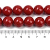 Shell Pearl Beads Strands BSHE-K015-14mm-01-4