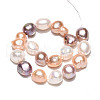Natural Cultured Freshwater Pearl Beads Strands PEAR-N014-09A-01-2