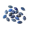 Natural Lapis Lazuli Cabochons G-Z075-05C-1