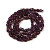 Natural Brazil Garnet Beads Strands G-Q060-A01-3