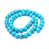 Natural Howlite Beads G-G904-8mm-01-3