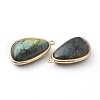 Natural Labradorite Pendants G-B009-05G-2