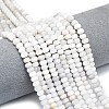 Natural White Crazy Agate Beads Strands G-P575-A04-6x4mm-03-1