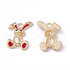 Alloy Enamel Pendants ENAM-C006-05KCG-01-1