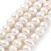 Natural Cultured Freshwater Pearl Beads Strands PEAR-C003-13B-2