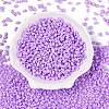 Opaque Colours Luster Glass Seed Beads SEED-T006-02D-1