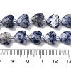 Natural Blue Spot Jasper Beads Strands G-P570-E19-01-5