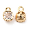 Glass Charms KK-F855-10G-1