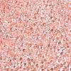 6/0 Baking Paint Transparent Glass Seed Beads SEED-N006-06E-3