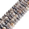 Electroplated Natural Botswana Agate Round Beads Strands G-L598-A03-02-2