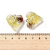 Inner Dried Flower Transparent Resin Pendants RESI-A043-03B-3