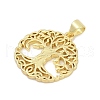 Brass Pendants KK-D317-114G-2