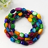 Stretch Erose Freshwater Shell Bracelets BJEW-PJB148-1
