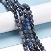 Natural Dumortierite Beads Strands G-E571-06A-4