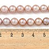 Natural Cultured Freshwater Pearl Beads Strands PEAR-E018-21-7