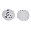 304 Stainless Steel Charms STAS-T059-26P-4