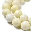 Natural Jade Beads Strands G-H298-A04-05-4