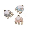 Alloy Enamel Pendants ENAM-TA0001-12-5