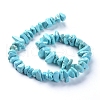 Natural Magnesite Beads Strands TURQ-G152-C01-2