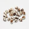 Natural Spiral Shell Beads BSHE-S613-02-2