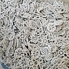 Ocean Theme Wood Cutouts PW-WG7F1F2-01-3
