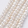 Natural Cultured Freshwater Pearl Beads Strands PEAR-D187-08-1