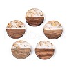 Resin & Walnut Wood Pendants RESI-T057-39M-2