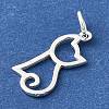 925 Sterling Silver Pendants STER-F059-05S-2