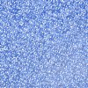 12/0 Grade A Round Glass Seed Beads SEED-Q011-F512-2