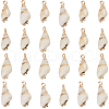 SUNNYCLUE 30Pcs Electroplated Spiral Shell Pendants SSHEL-SC0001-29B-1