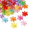 Transparent Acrylic Beads TACR-XCP0001-17-1