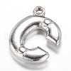 201 Stainless Steel Charms STAS-G081-25P-2