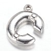 Tarnish Resistant 201 Stainless Steel Charms STAS-G081-25P-2