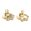 Brass Cubic Zirconia with Shell Pendants KK-K342-10G-1