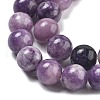 Natural Lepidolite/Purple Mica Stone Beads Strands G-M353-A01-10mm-6