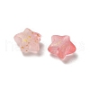 Frosted Acrylic Charms OACR-M023-04H-2