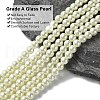 Eco-Friendly Dyed Glass Pearl Round Beads Strands HY-A008-6mm-RB011-4