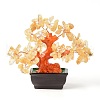 Natural Yellow Quartz Chips Money Tree Bonsai Display Decorations DJEW-B007-08C-1