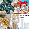 Polyester Wide Ribbons OCOR-WH0082-168B-6