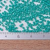 MIYUKI Delica Beads Small X-SEED-J020-DBS0729-3