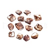 Natural Freshwater Shell Beads BSHE-S028-3-1