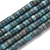 Natural Apatite Beads Strands G-Q046-A01-01-2