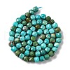 Natural Howlite Beads Strands G-G001-B02-07-3