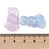 Luminous Transparent Acrylic Beads LACR-U001-04-5