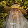 Preciosa® MAXIMA Crystal Fancy Stones Y-PRC-FA6-20020-5